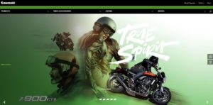 Kawasaki New Site