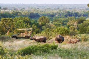 INEOS Grenadier Safari Vehicle by INEOS Kavango