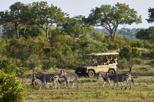 INEOS Grenadier Safari Vehicle by INEOS Kavango