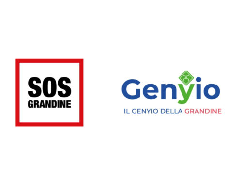 SOS Il Genyio della Grandine: innovazione e rapidità al servizio del cliente